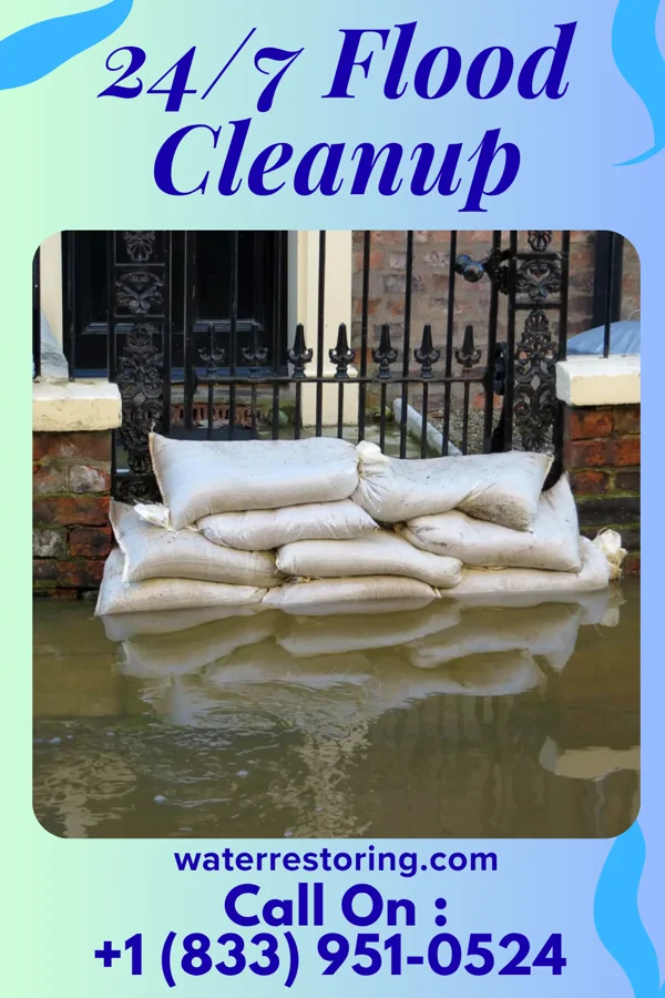 24/7 Flood Cleanup in Eau Claire, MI