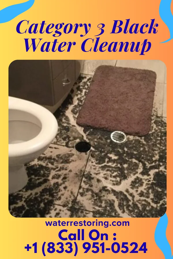 Category 3 Black Water Cleanup in Eau Claire, MI