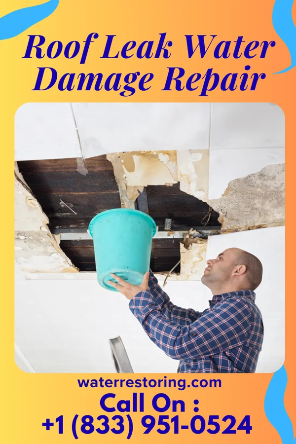 Roof Leak Water Damage Repair in Eau Claire, MI